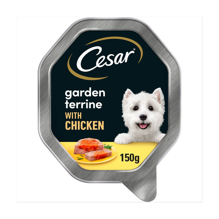 Cesar Garden Terrine Dog Food Tray Chicken & Garden Vegetables in Loaf 150g