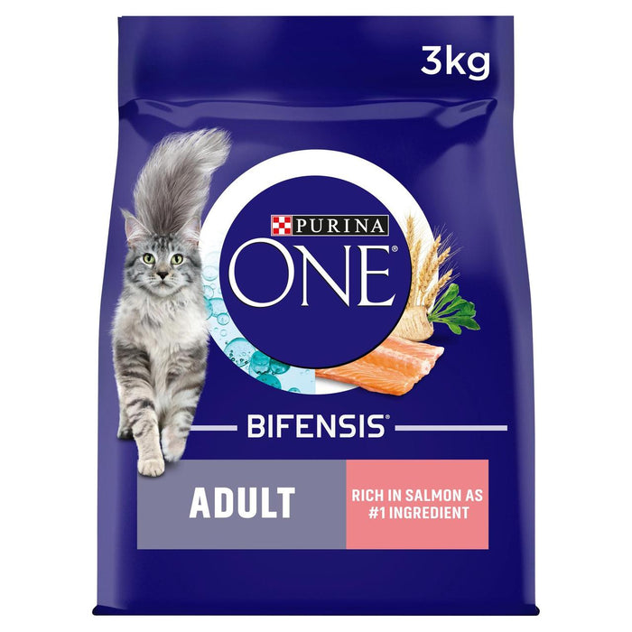 Purina ONE Adult Dry Cat Food Salmon and Wholegrain 3kg