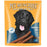 Pet Munchies 100% Natural Venison Stix Dog Treats 50g