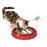 Catit Play Circuit Ball Toy Red Cat Toy