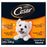 سيزار - أكياس طعام الكلاب الطازجة اللذيذة المفضلة في الصلصة 24 × 100 جرام