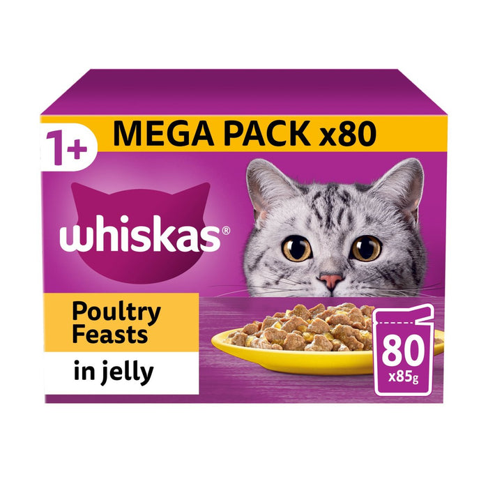 ويسكاس 1+ طعام رطب للقطط البالغة في هلام 80 × 85 جم