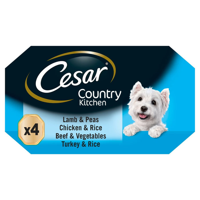 César Senior 10+ bandejas de alimentos para perros húmedos Selección carnosa en gelatina 4 x 150g