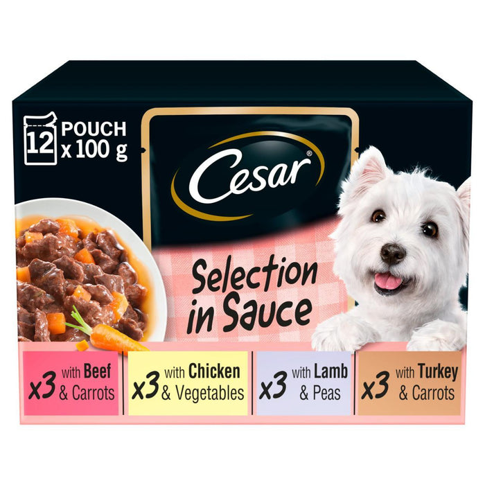 Cesar Erwachsene Nasste Hundefutterbeutel gemischt köstlich frisch in Sauce 12 x 100 g