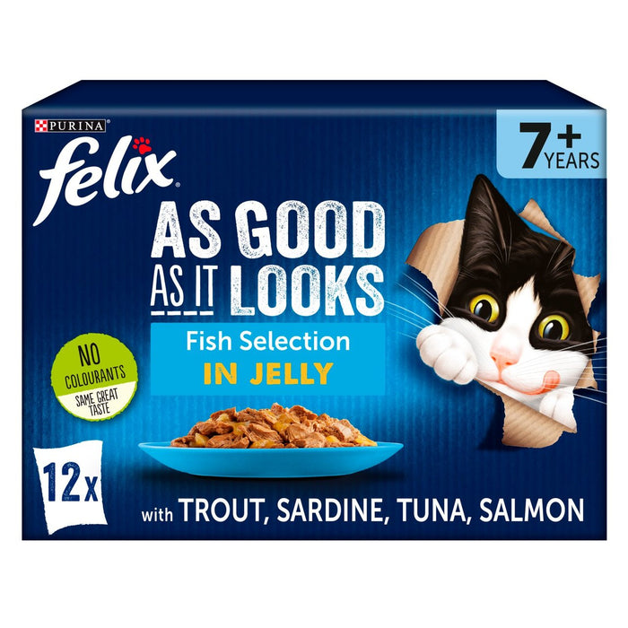 Felix aussi bien qu'il a l'air de la nourriture pour chats senior Fish 12 x 100g