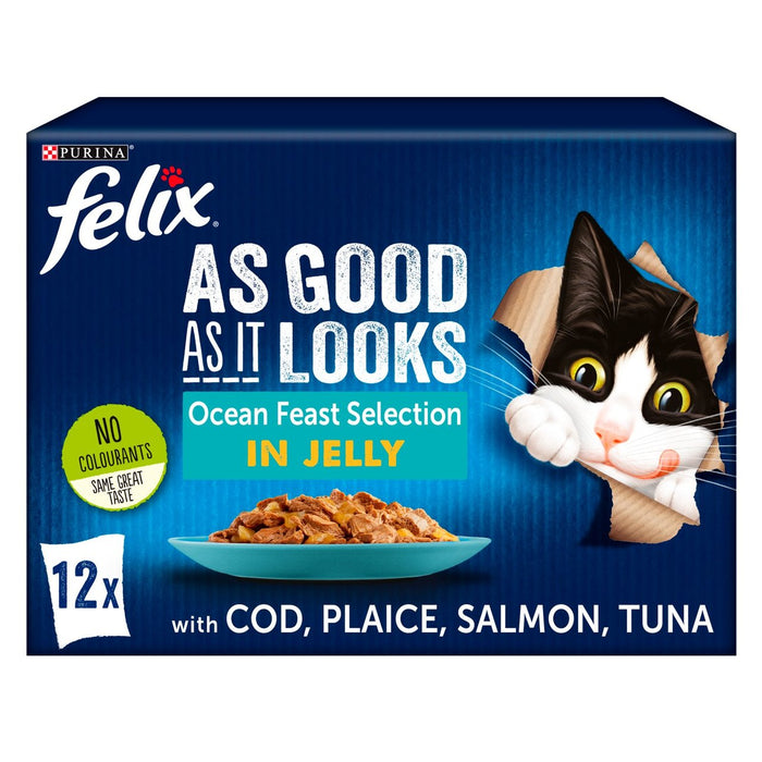 فيليكس طعام القطط جيد كما يبدو - أطباق المحيط بالجيلي 12 × 100 جرام