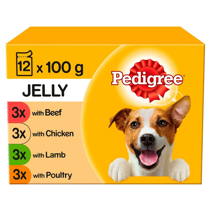 أكياس طعام الكلاب الرطبة البالغة من بيديجري، تشكيلة مختلطة في هلام 12 × 100 جرام