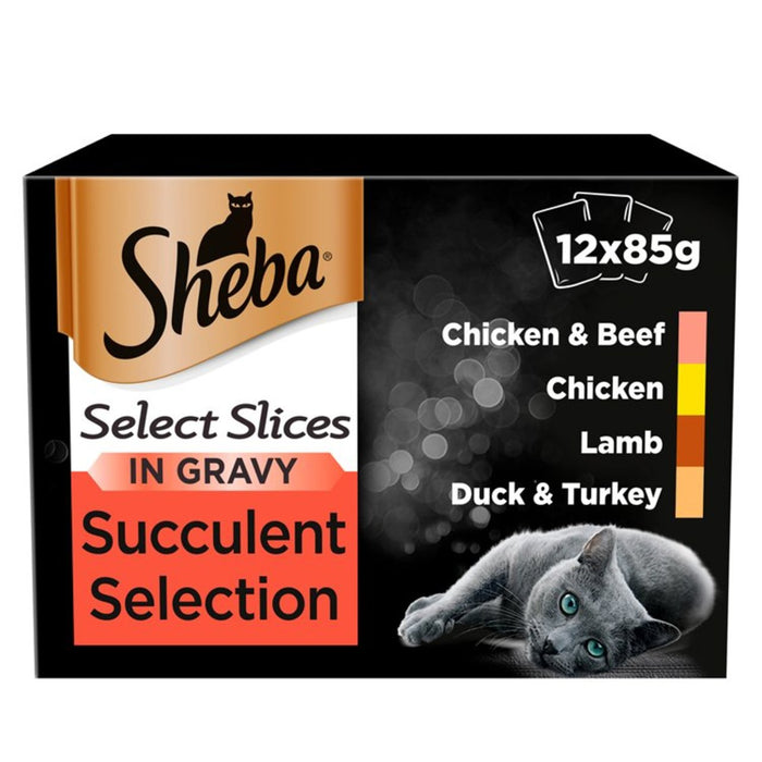 Sheba Select Slices Erwachsener 1+ nasse Katzenfutterbeutel Sukkulent in Soße 12 x 85 g