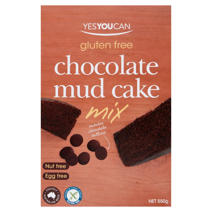 YOUCAN CHOCOLATE MUD CAKE MEX 550G